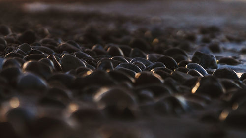 Full frame shot of rocks on beach