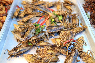 High angle view of fried cockroaches in tray at market stall