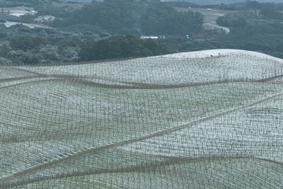 High angle view of agricultural field