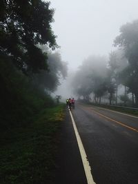 Road amidst trees against sky