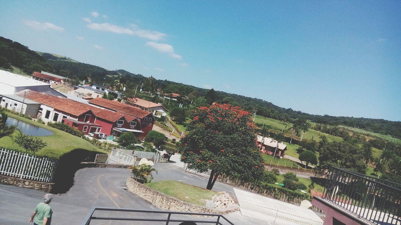 building exterior, built structure, architecture, tree, sky, house, clear sky, mountain, high angle view, sunlight, growth, blue, day, roof, nature, residential structure, outdoors, road, incidental people, residential building