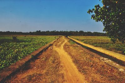 Scenic view of agricultural field against clear sky