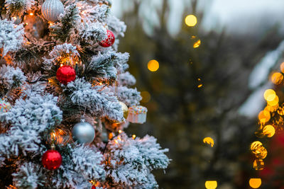 Close-up of illuminated christmas tree during winter