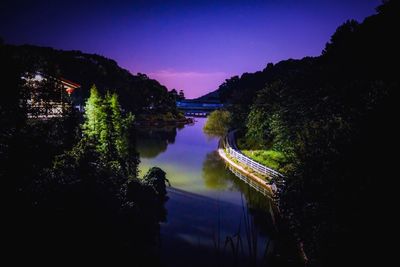 Reflection of trees in calm lake at night