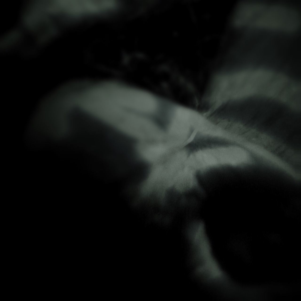 indoors, close-up, selective focus, dark, night, black background, no people, shadow, part of, darkroom, defocused, cat, focus on foreground, high angle view, black color, copy space, domestic cat, illuminated, studio shot, light - natural phenomenon