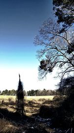 Trees on field against clear sky