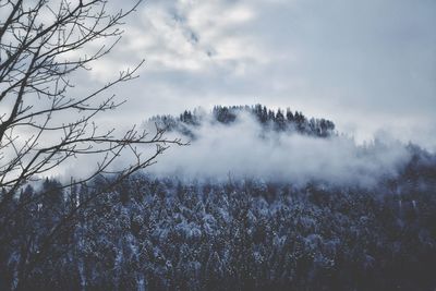 Scenic view of snow covered landscape against sky