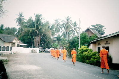 Road along buildings