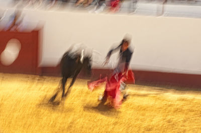 Blurred motion of horse running