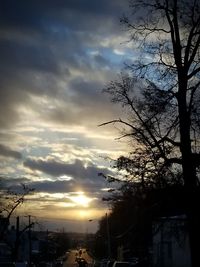 Low angle view of silhouette trees against sky at sunset