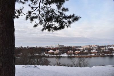 View of stockholm buildings from skansen zoo