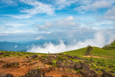 Mountain with green grass and beautiful sky