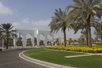 Palm trees in park against sky