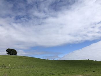 Scenic view of landscape against sky