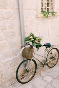 Bicycle against wall in building