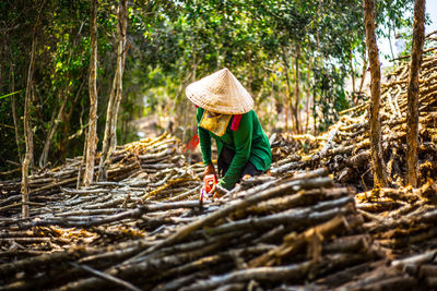 Person wearing asian style conical hat collecting firewood at forest