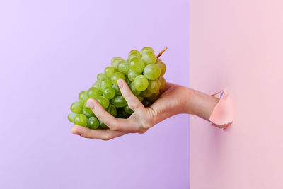 Close-up of hand holding tomato against white background