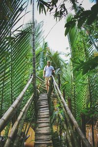 Low angle view of child on tree