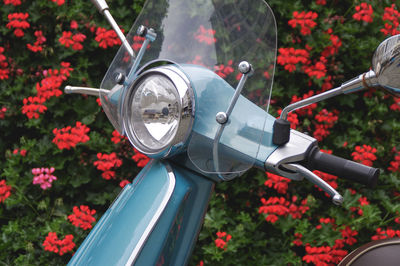 Close-up of italian scooter with flowers in the background