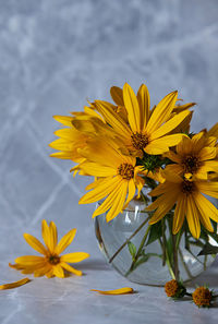 Close-up of yellow flower