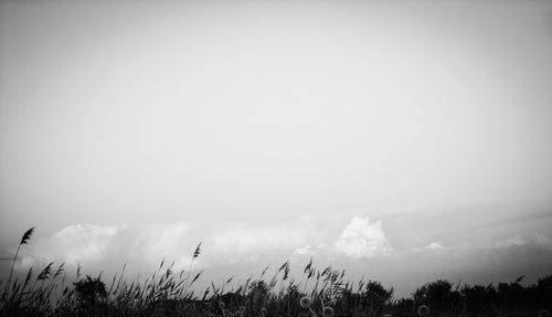 tranquility
