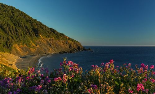 Scenic view of sea against blue sky