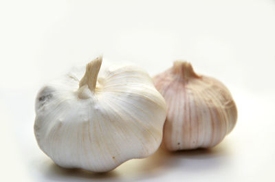 Close-up of flowers against white background