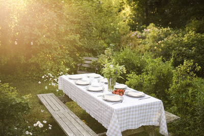 Potted plant against trees