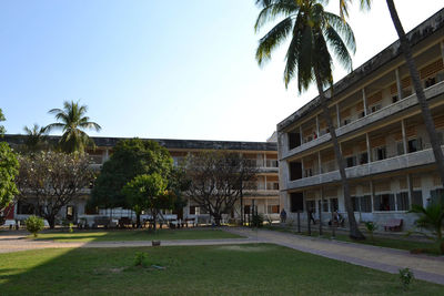 Street by palm trees and buildings against sky