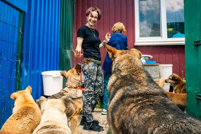 Dog at the shelter. animal shelter volunteer takes care of dogs. lonely dogs in cage with volunteer.