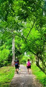 Rear view of man walking on footpath