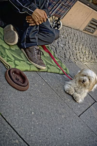 Low section of man with dog sitting on street