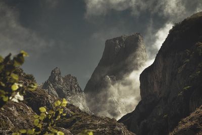nature