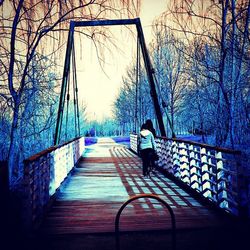 Bare trees along railings