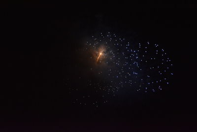 Low angle view of fireworks against sky at night