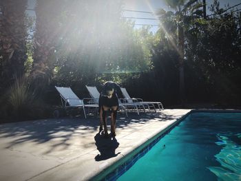 Man standing by swimming pool