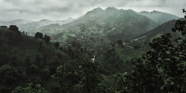 Scenic view of trees and mountains against sky