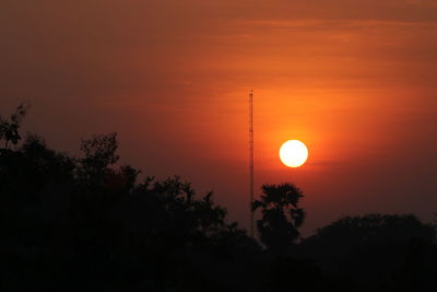 Low angle view of silhouette trees against orange sky