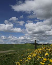 Scenic view of field against cloudy sky