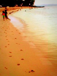 Scenic view of beach