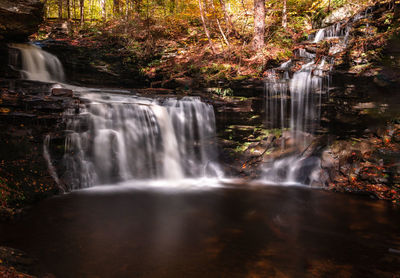 Scenic view of waterfall in forest