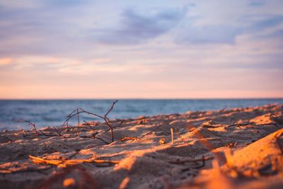 Scenic view of sea at sunset