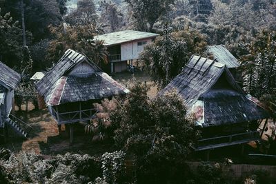 Plants growing on old building in forest