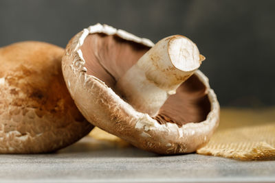 Close-up of mushrooms on table