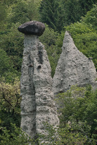 Stone wall in forest