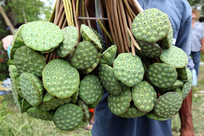 Midsection of man holding lotus pods