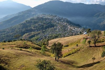 High angle view of agricultural landscape