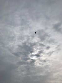 Low angle view of bird flying in sky