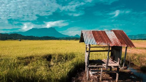 Lifeguard hut on field against sky