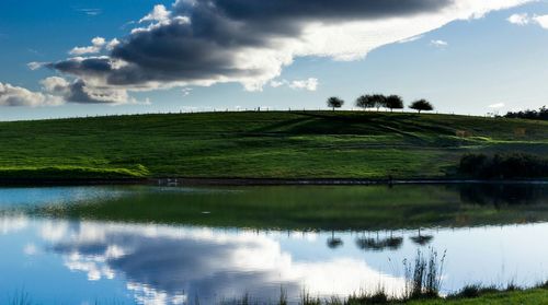 Reflection of trees in lake